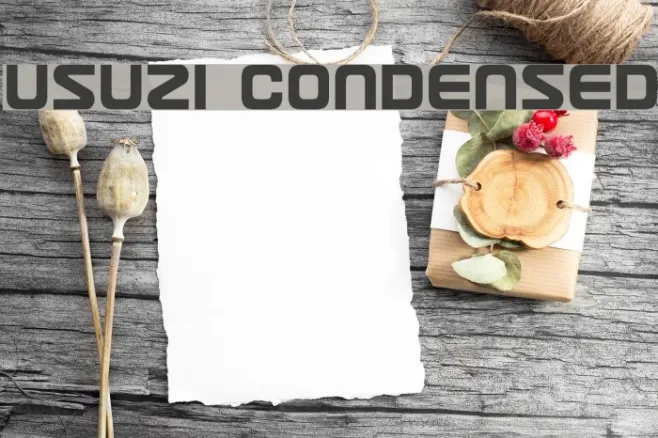 Usuzi Condensed Example 3