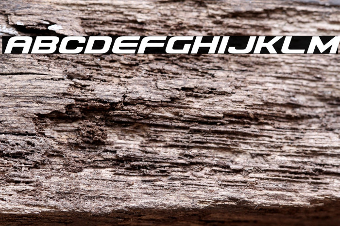 Usuzi Expanded Italic Example 2