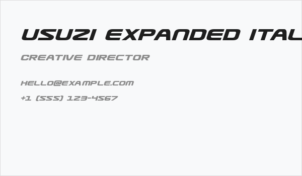Usuzi Expanded Italic Business Card
