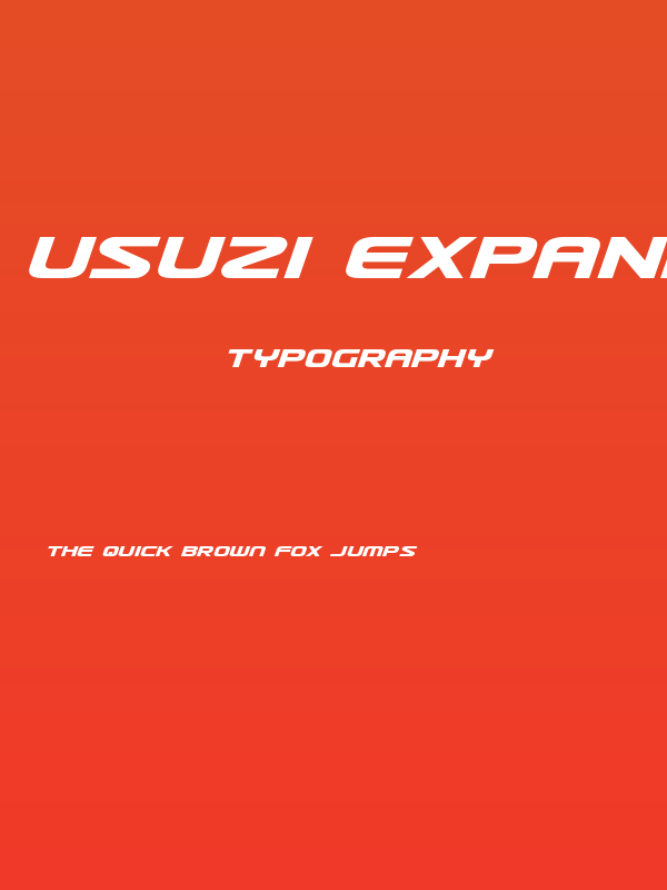 Usuzi Expanded Italic Poster
