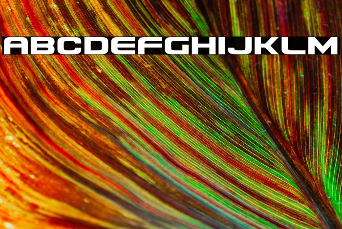 Usuzi Expanded Example 1