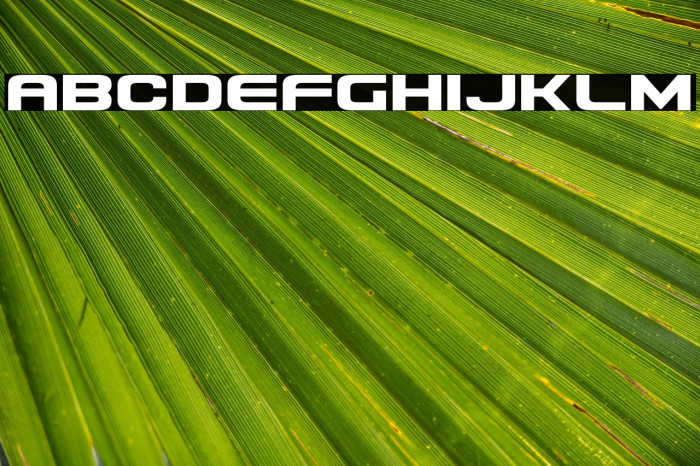 Usuzi Expanded Example 2