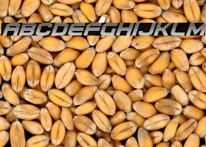 Usuzi Gradient Italic Example 2