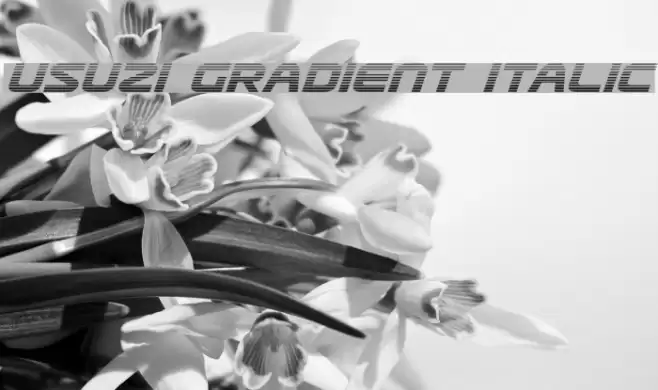 Usuzi Gradient Italic Font examples
