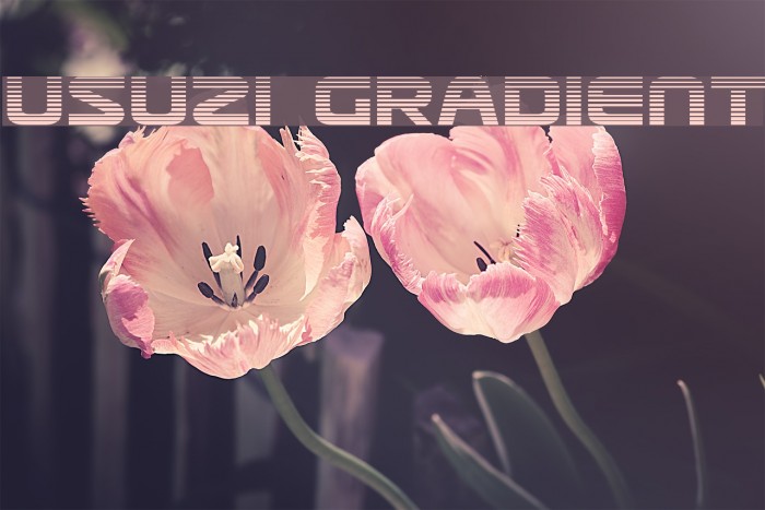 Usuzi Gradient Font examples
