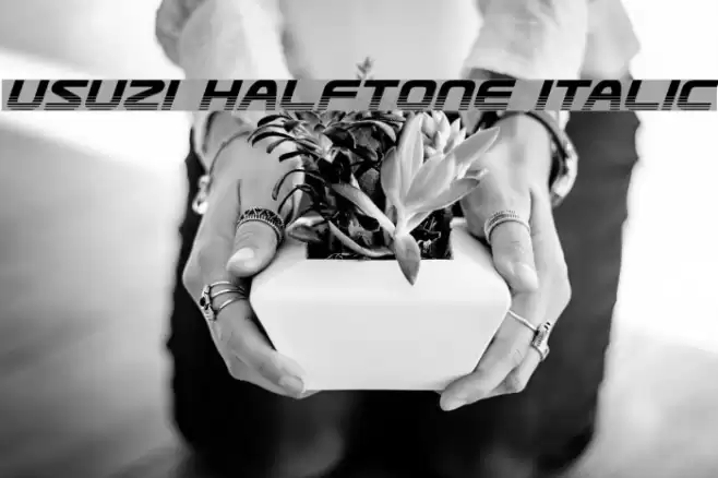 Usuzi Halftone Italic Font examples