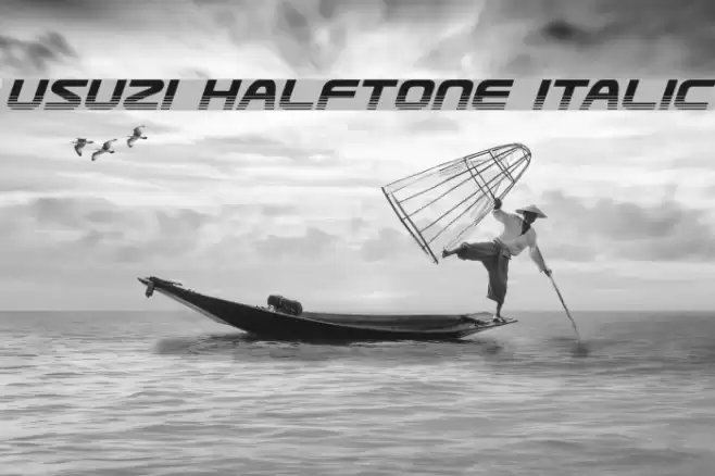 Usuzi Halftone Italic Font examples