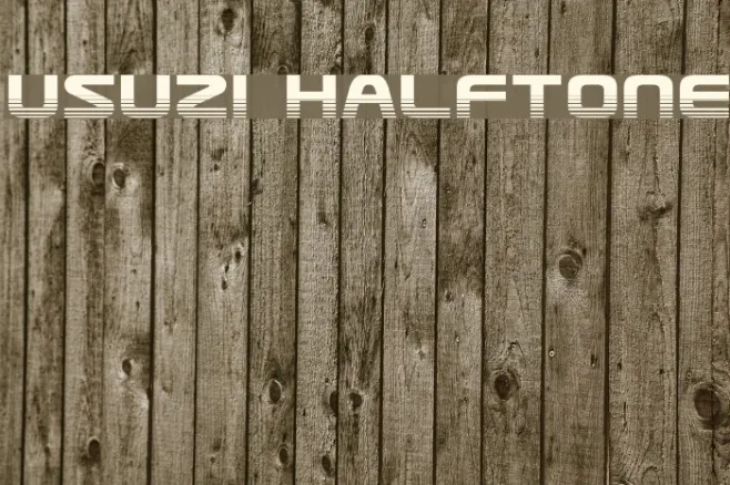 Usuzi Halftone Example 1
