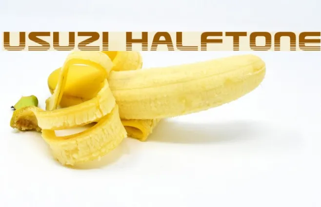 Usuzi Halftone Example 2