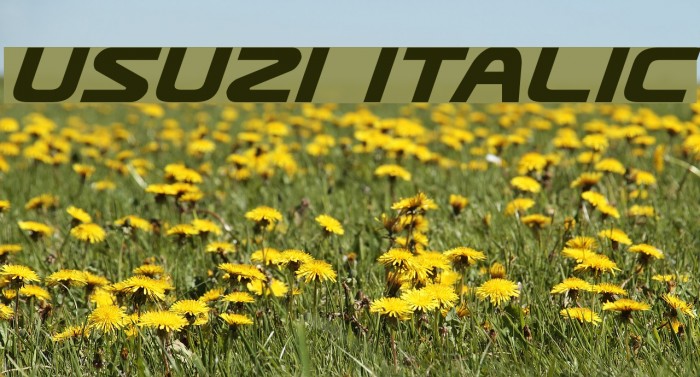 Usuzi Italic Font examples