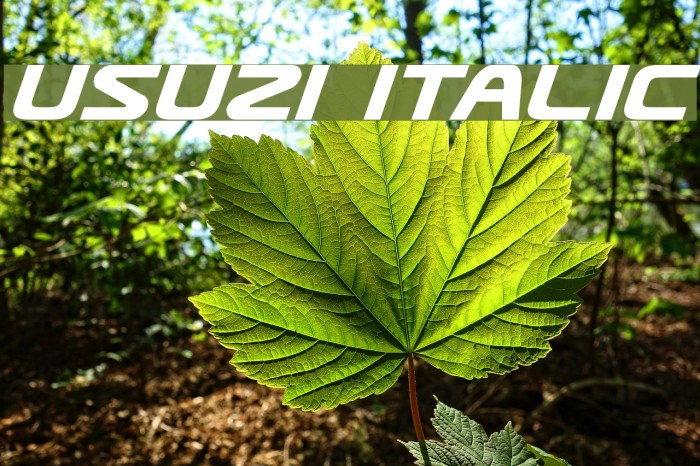 Usuzi Italic Font examples