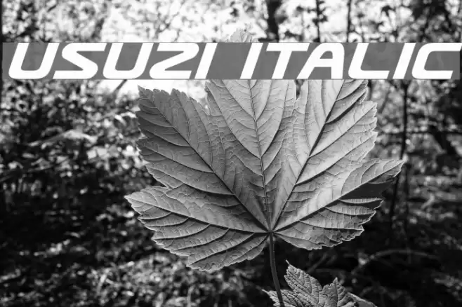 Usuzi Italic examples