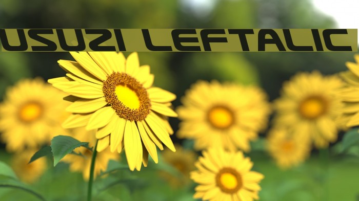 Usuzi Leftalic Font examples