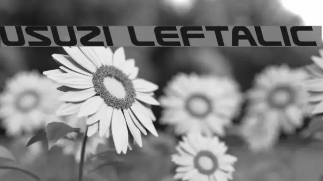 Usuzi Leftalic examples