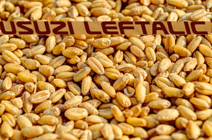 Usuzi Leftalic Font examples