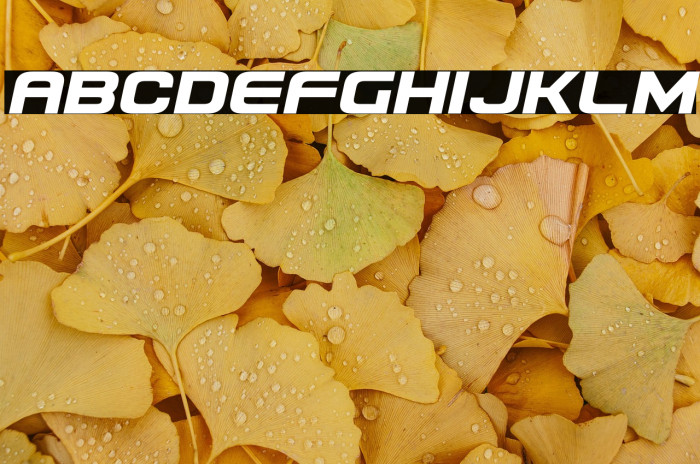 Usuzi Semi-Italic Example 1