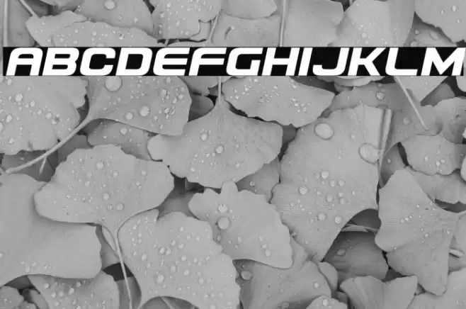 Usuzi Semi-Italic Font examples