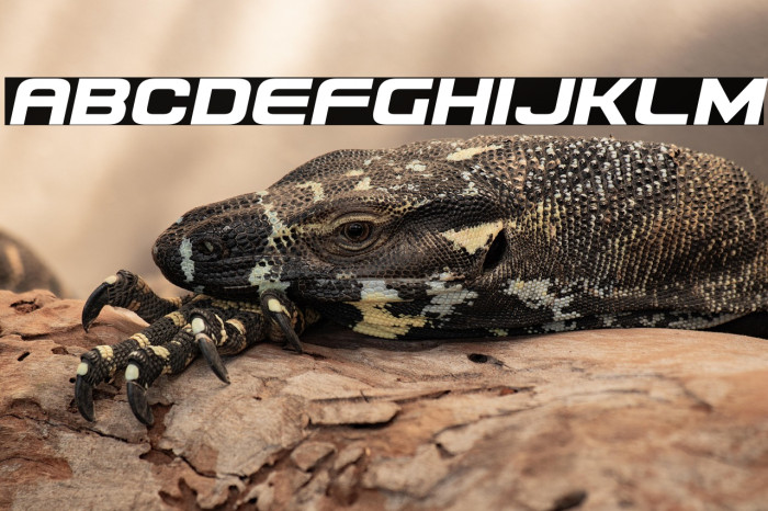 Usuzi Semi-Italic Example 2