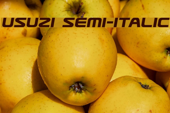 Usuzi Semi-Italic Font examples