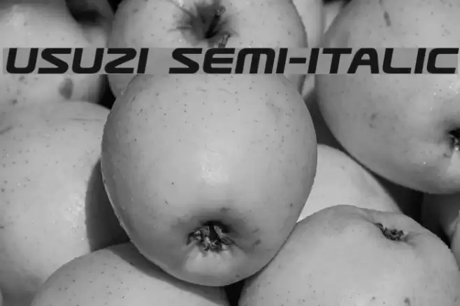 Usuzi Semi-Italic examples