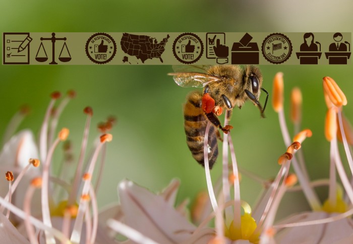 us election Example 1