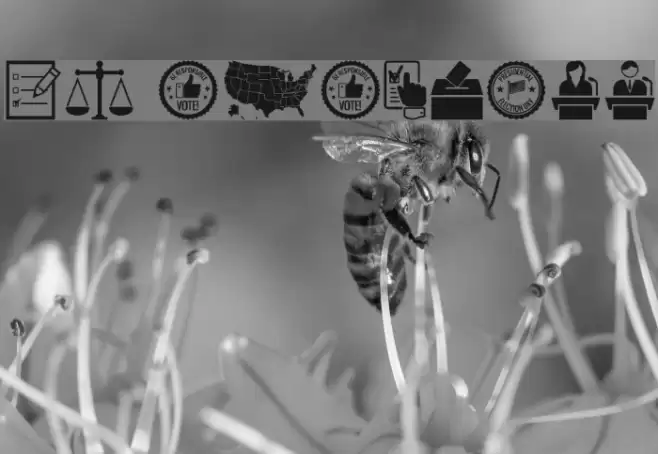 us election Font examples