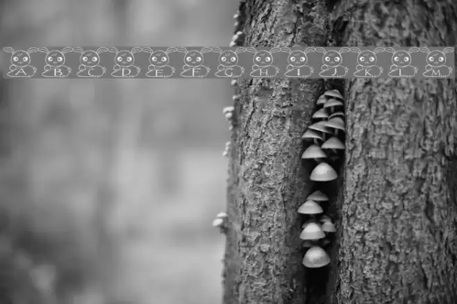 usa Font Font examples