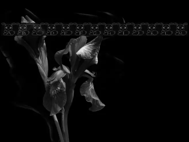 usa Font Font examples