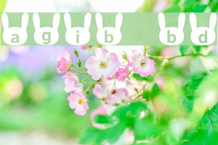 usagi_b Bold Font examples