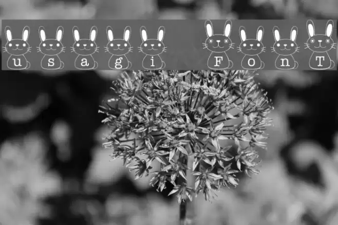usagi Font examples
