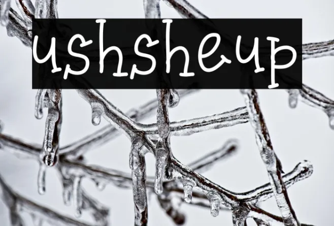 ushsheup Example 1