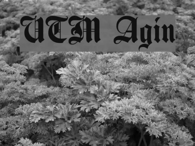 UTM Agin Font examples