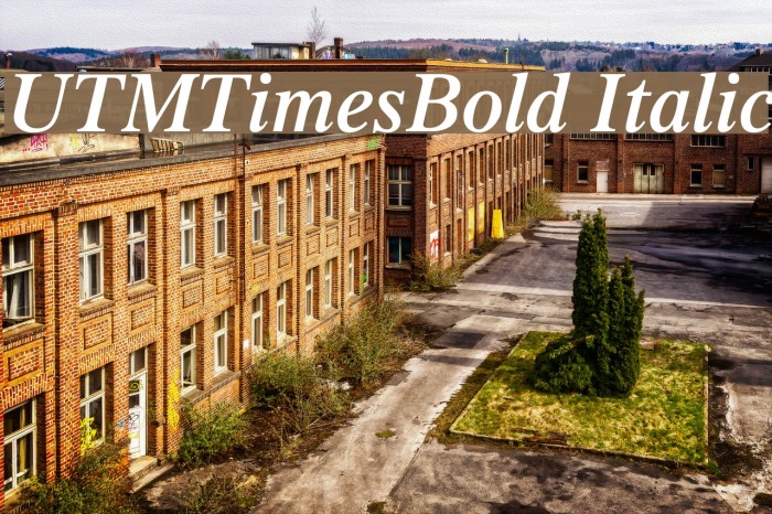 UTMTimesBold Italic Font examples