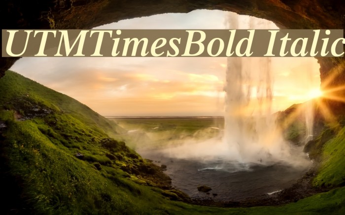 UTMTimesBold Italic Font examples
