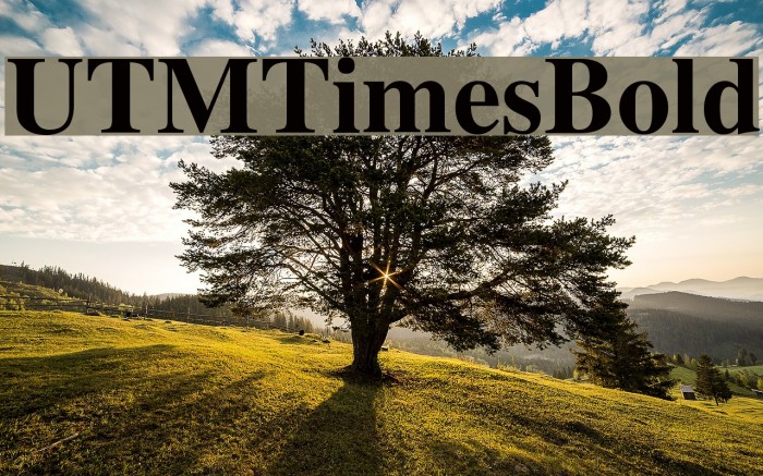 UTMTimesBold Font examples