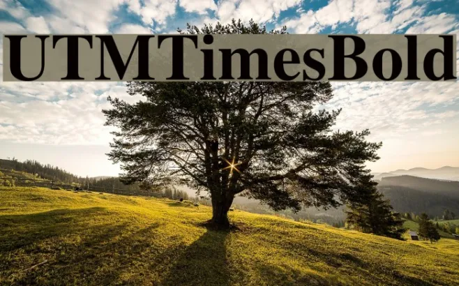UTMTimesBold Example 1