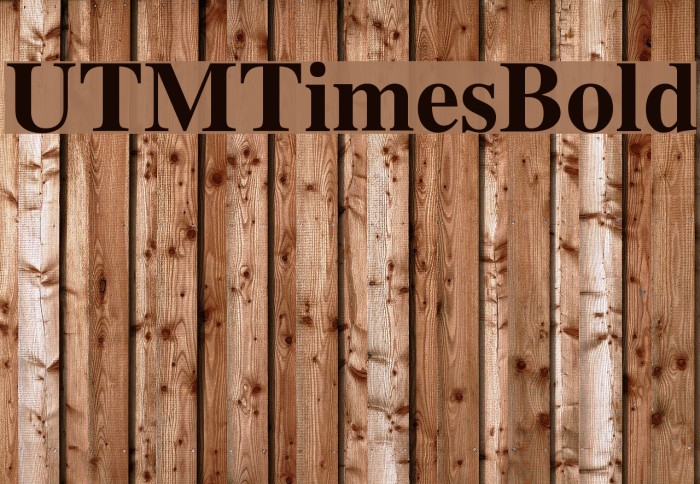 UTMTimesBold Font examples
