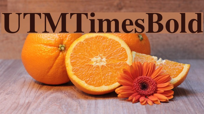 UTMTimesBold Font examples
