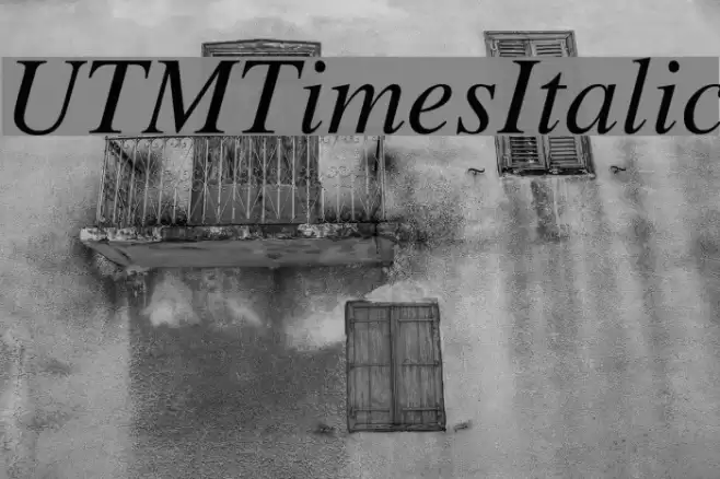 UTMTimesItalic  examples