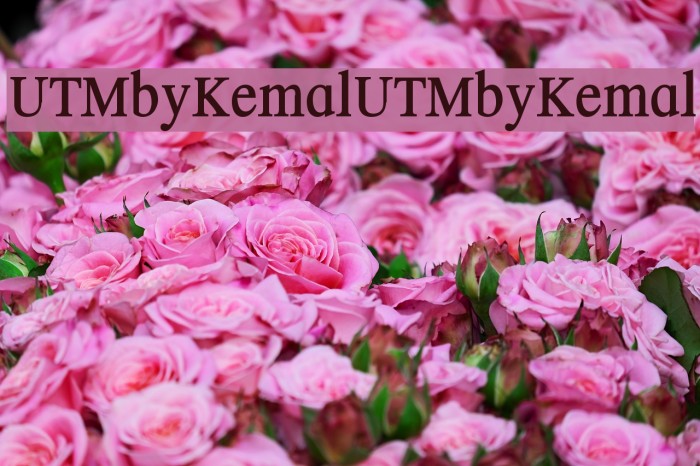 UTMbyKemal UTMbyKemal Font examples
