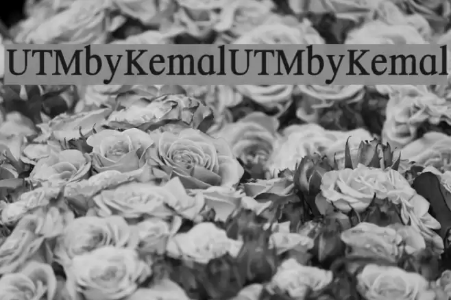UTMbyKemal UTMbyKemal Schriftart examples