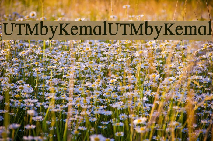 UTMbyKemal UTMbyKemal Font examples