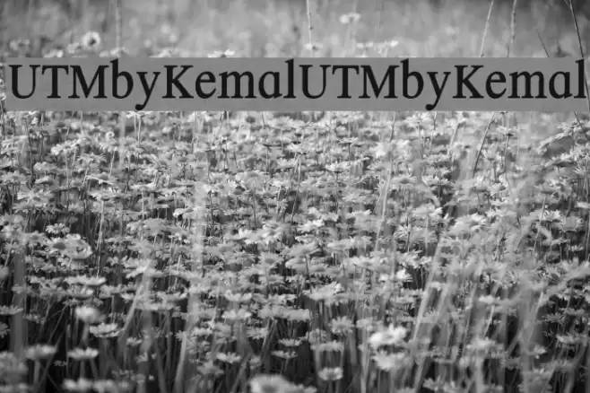 UTMbyKemal UTMbyKemal Schriftart examples