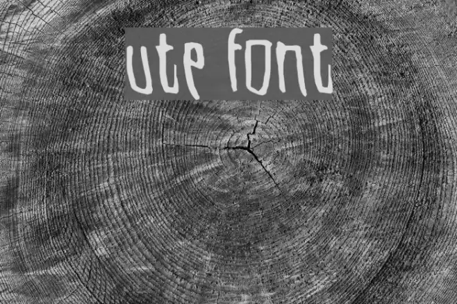 Ute Font examples