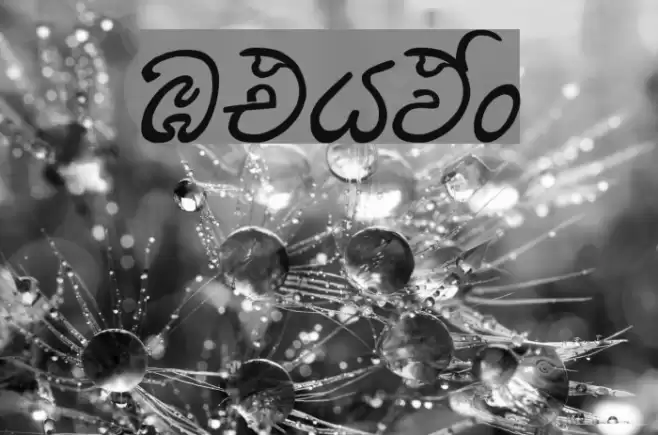 UthMax® Font examples