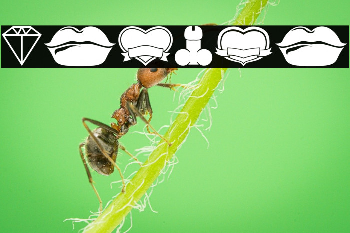 Uthando Regular Example 1