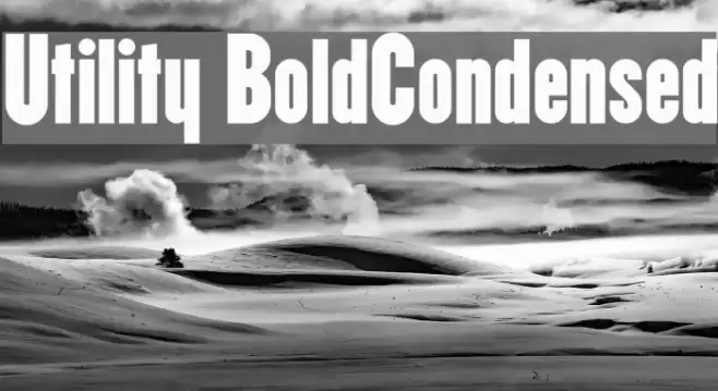 Utility BoldCondensed Font examples