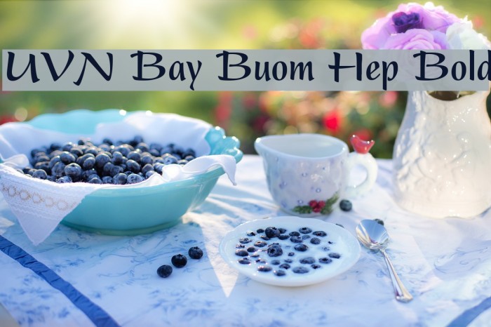 UVN Bay Buom Hep Bold Font examples