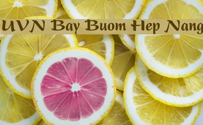UVN Bay Buom Hep Nang Font examples