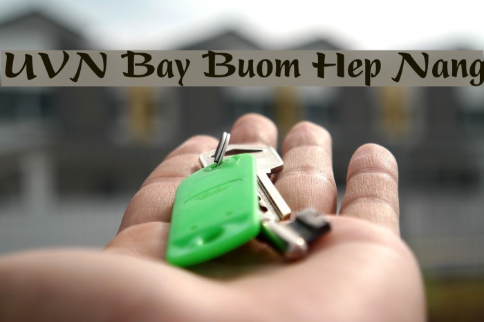 UVN Bay Buom Hep Nang Font examples
